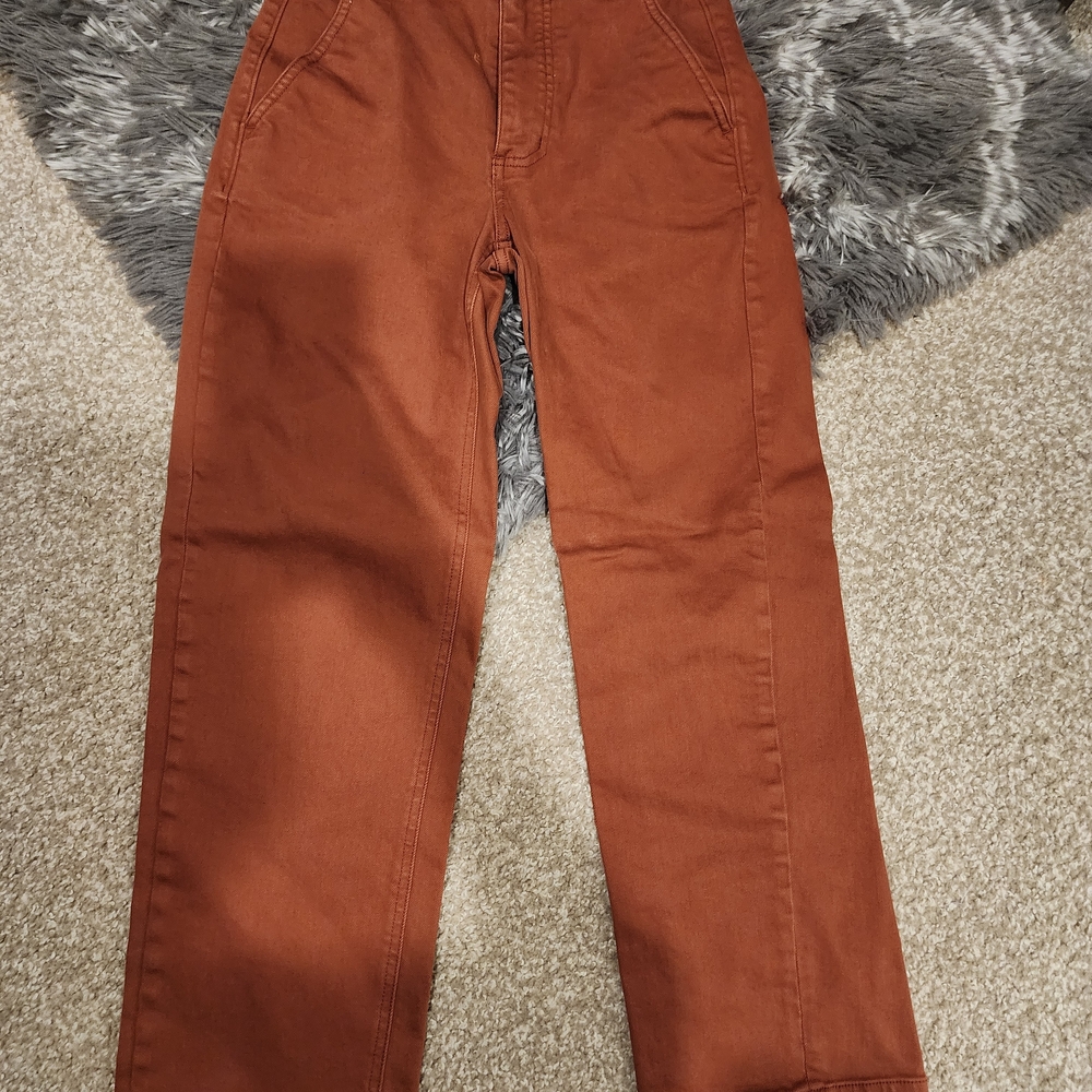 Everlane Rust Pants